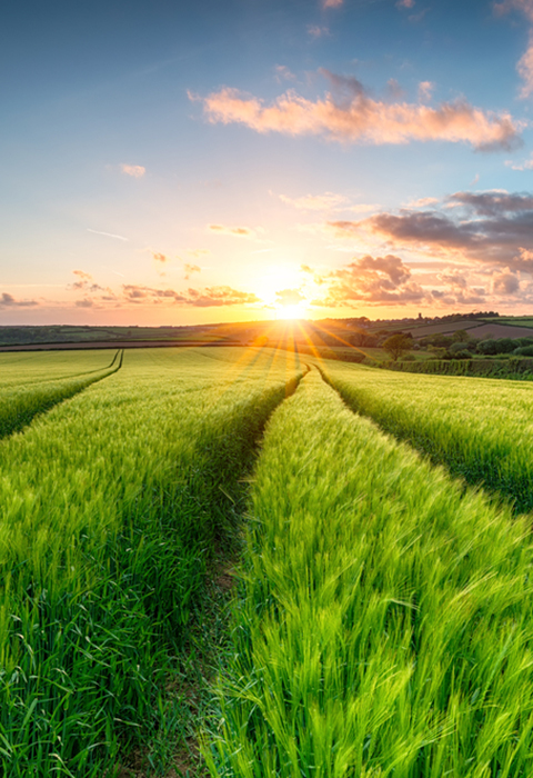 Farm safety and handling agrichemicals