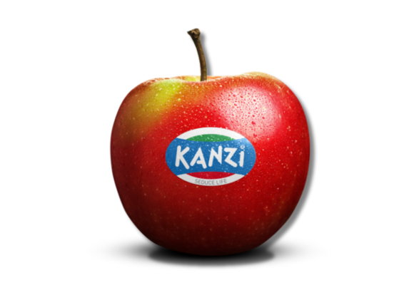 kanzi